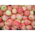 Chine produite Fresh Gala Apple